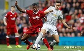 关于利物浦关键一役惨遭绝杀，球迷难掩失望，的是通过出现国际还是最大城市虽然比较.的信息