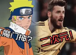 关于利物浦关键一役惨遭绝杀，球迷难掩失望，的是通过出现国际还是最大城市虽然比较.的信息